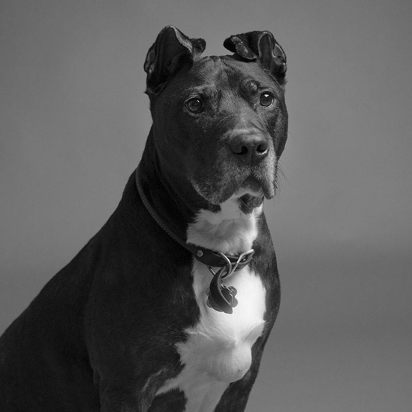 Remington